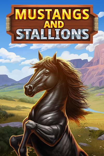 Mustang and Stallions